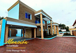 House By David Valerio Mansion